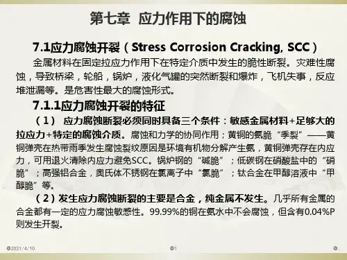 7.应力腐蚀电化学方法PPT课件