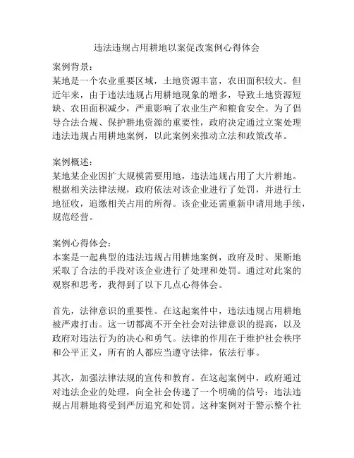 违法违规占用耕地以案促改案例心得体会