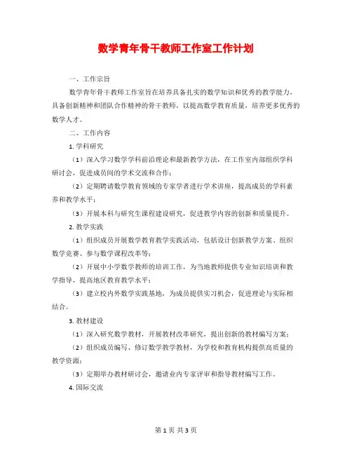 数学青年骨干教师工作室工作计划