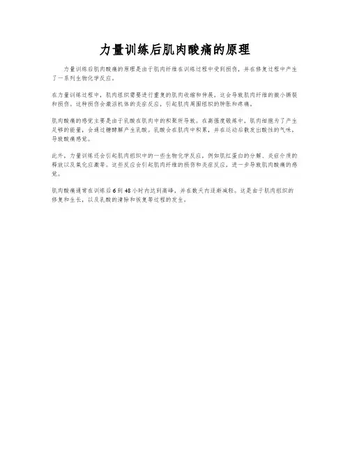 力量训练后肌肉酸痛的原理
