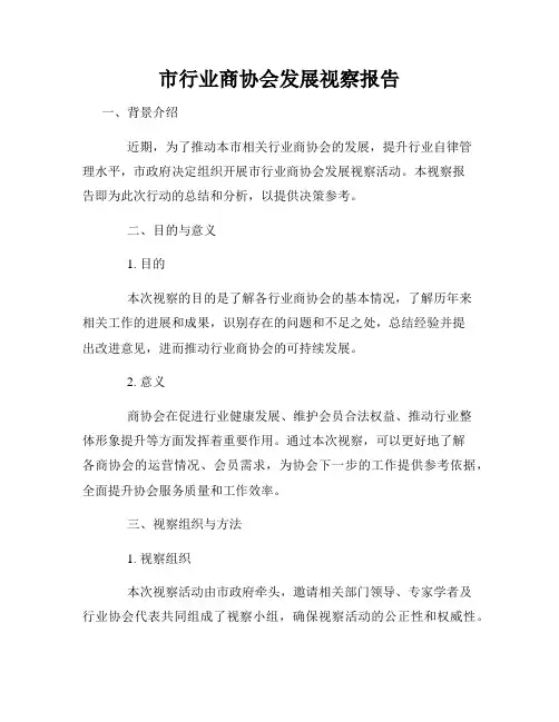 市行业商协会发展视察报告