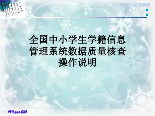 全国中小学生学籍信息管理系统数据质量核查操作说明