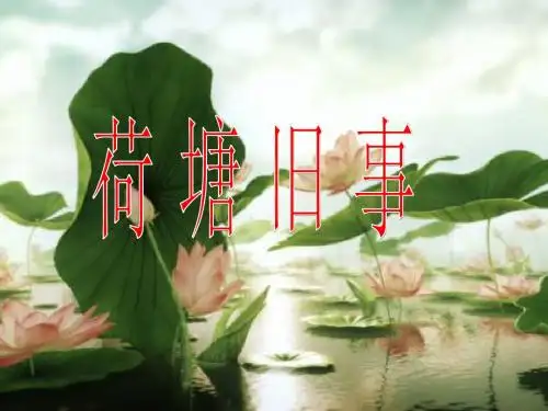 《荷塘旧事》