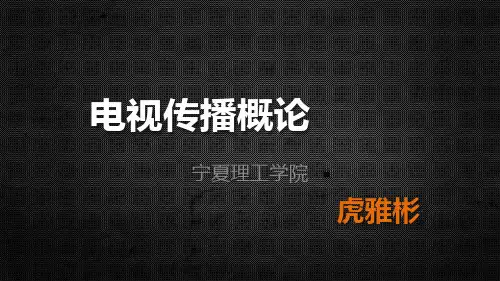 电视传播概论1详解