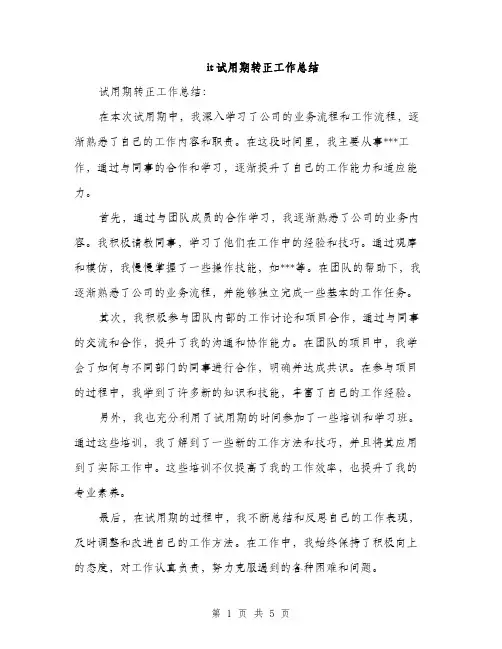 it试用期转正工作总结(2篇)
