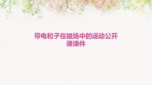 带电粒子在磁场中的运动公开课课件