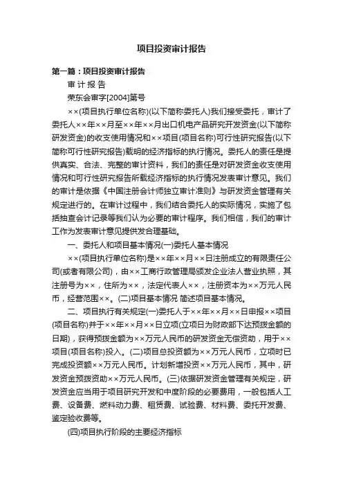 项目投资审计报告