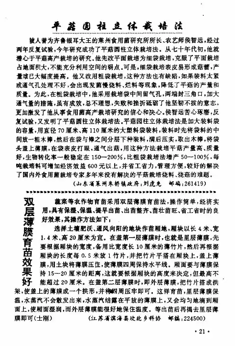 平菇圆柱立体栽培法