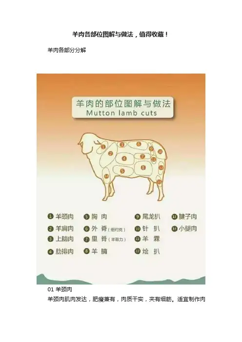 羊肉各部位图解与做法，值得收藏！