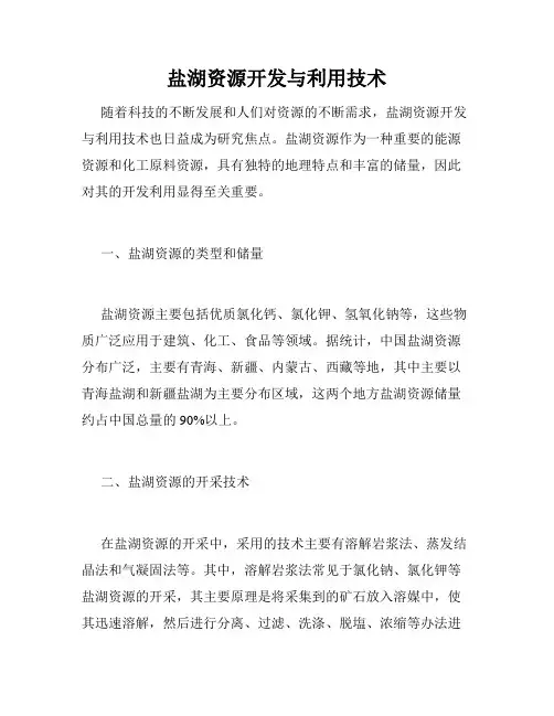 盐湖资源开发与利用技术