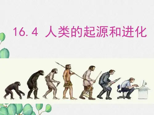 (新)苏教版生物八上《人类的起源和进化》公开课(课件) 2