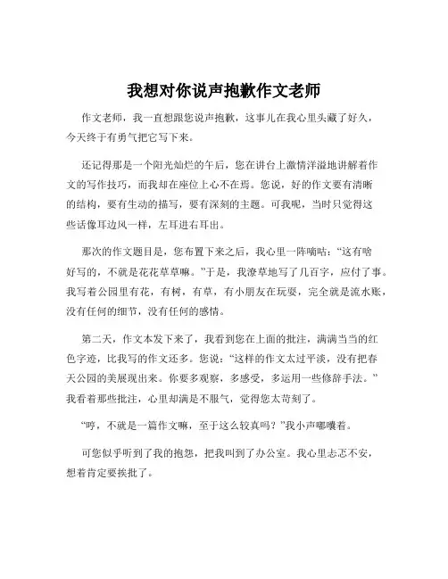 我想对你说声抱歉作文老师