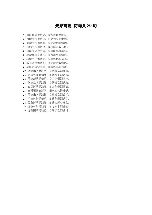 无路可走 诗句共20句