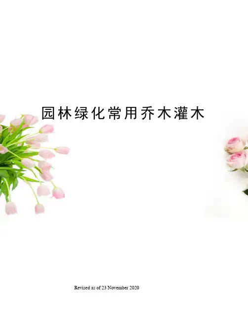 园林绿化常用乔木灌木
