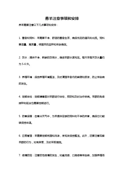 养羊注意事项和安排