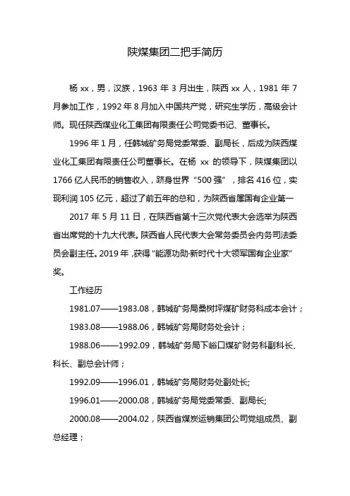 陕煤集团二把手简历