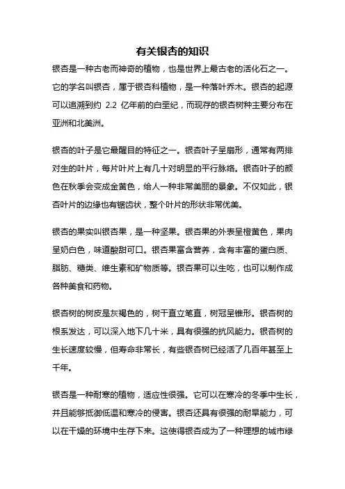 有关银杏的知识