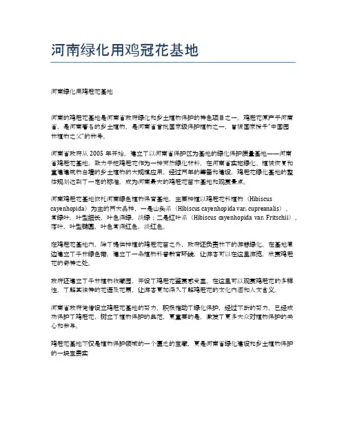 河南绿化用鸡冠花基地