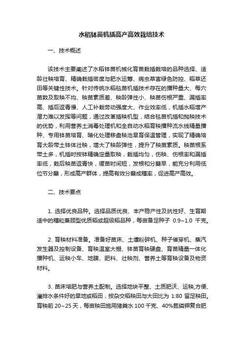 水稻钵苗机插高产高效栽培技术