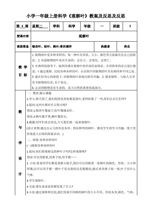 小学一年级上册科学《观察叶》教案及反思及反思