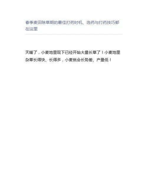 【农业】春季麦田除草期的最佳打药时机、选药与打药技巧都在这里
