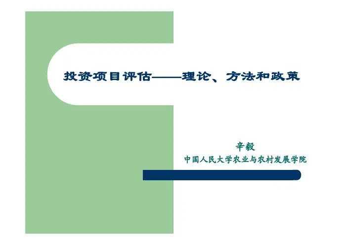 投资项目评估——理论、方法和政策