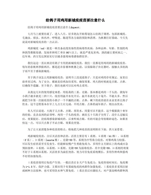 给鸽子用鸡用新城疫疫苗要注意什么