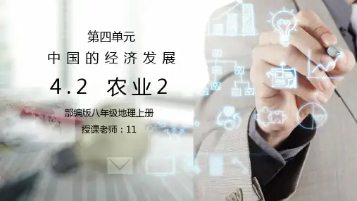 人教版八年级地理上册第三单元《中国的经济发展-农业2》PPT课件