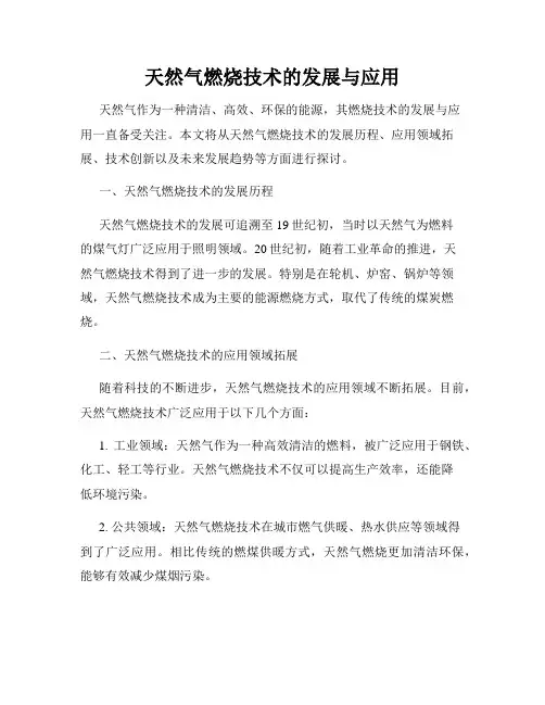 天然气燃烧技术的发展与应用