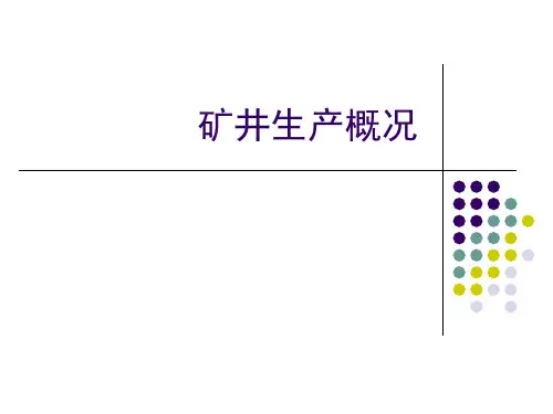、矿井生产概况简化版