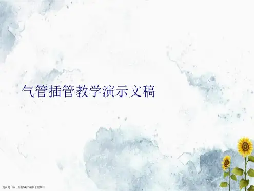 气管插管教学演示文稿