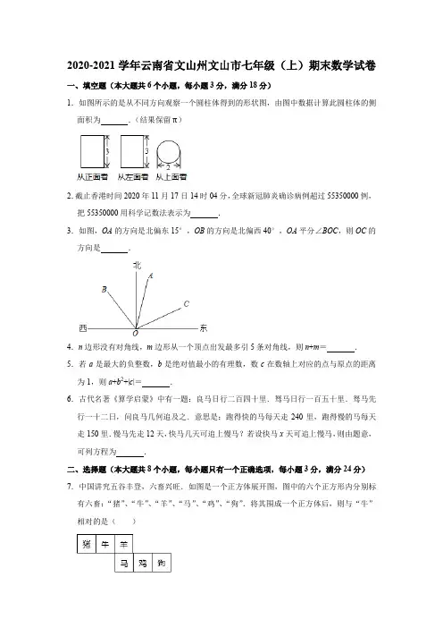 云南省文山州文山市2020-2021学年上学期期末考试七年级 数学试卷  解析版