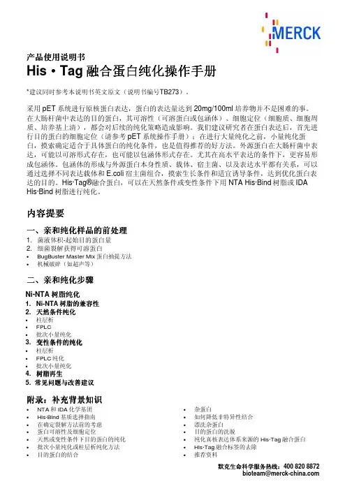 His标签融合蛋白