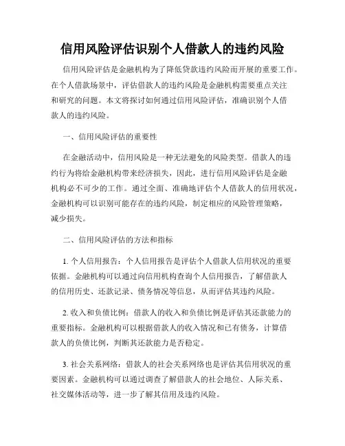 信用风险评估识别个人借款人的违约风险