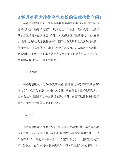 8种具有强大净化空气功效的盆栽植物介绍!