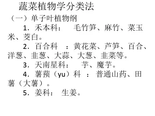 蔬菜植物学分类法
