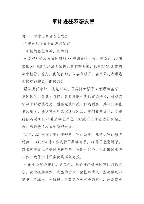 审计进驻表态发言