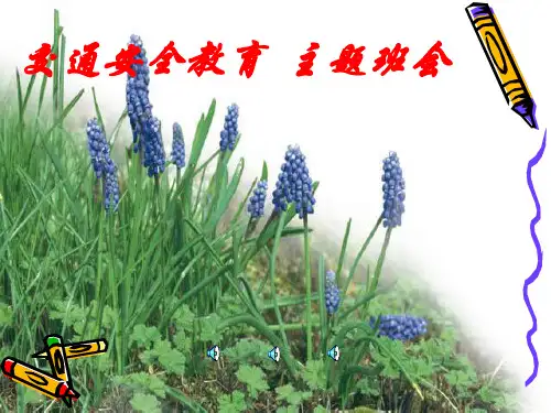 《交通安全记心中》PPT课件