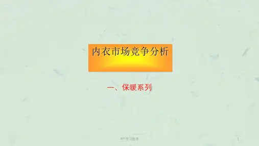 内衣市场分析课件