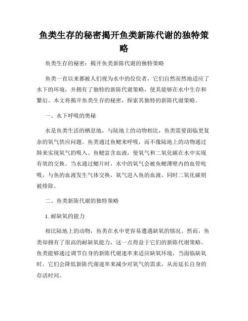鱼类生存的秘密揭开鱼类新陈代谢的独特策略