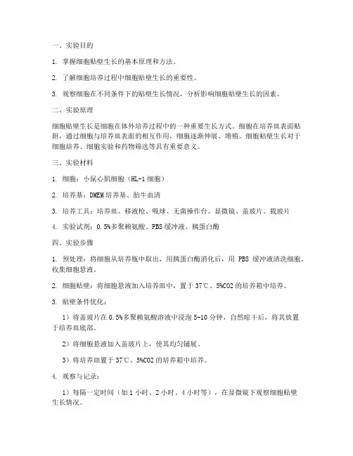 细胞贴壁实验报告