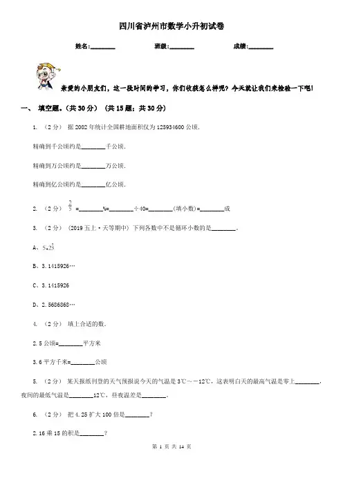 四川省泸州市数学小升初试卷