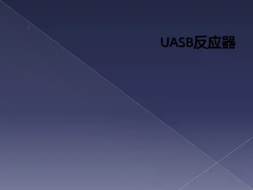 UASB反应器