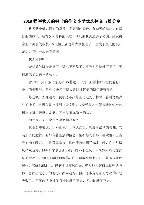 2019描写秋天的枫叶的作文小学优选例文五篇分享
