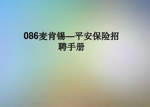 086麦肯锡—平安保险招聘手册