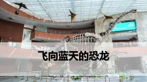 《飞向蓝天的恐龙》PPT优秀课件