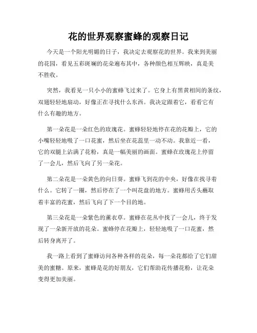 小学三年级作文花的世界观察蜜蜂的观察日记