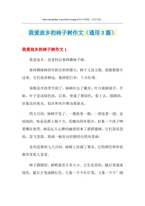 我爱故乡的柿子树作文(通用3篇)