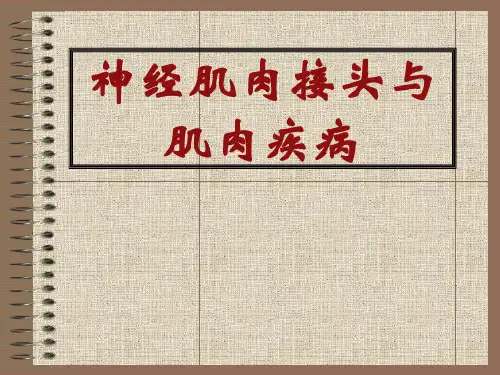 神精病学：神经肌肉接头与肌肉疾病
