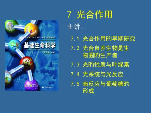 普通生物学07-光合省名师优质课赛课获奖课件市赛课一等奖课件